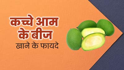 कच्चे आम के बीजों का सेवन करने से मिलेंगे ये 6 जबरदस्त फायदे 