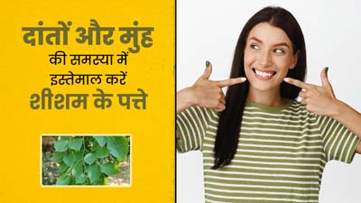 दांतों और मुंह की समस्याओं को दूर कर सकते हैं शीशम के पत्ते, जानें इसके फायदे और उपयोग का तरीका 