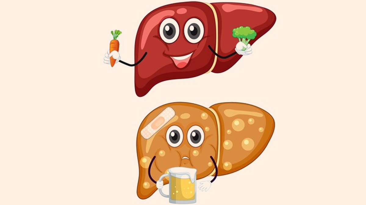 liver