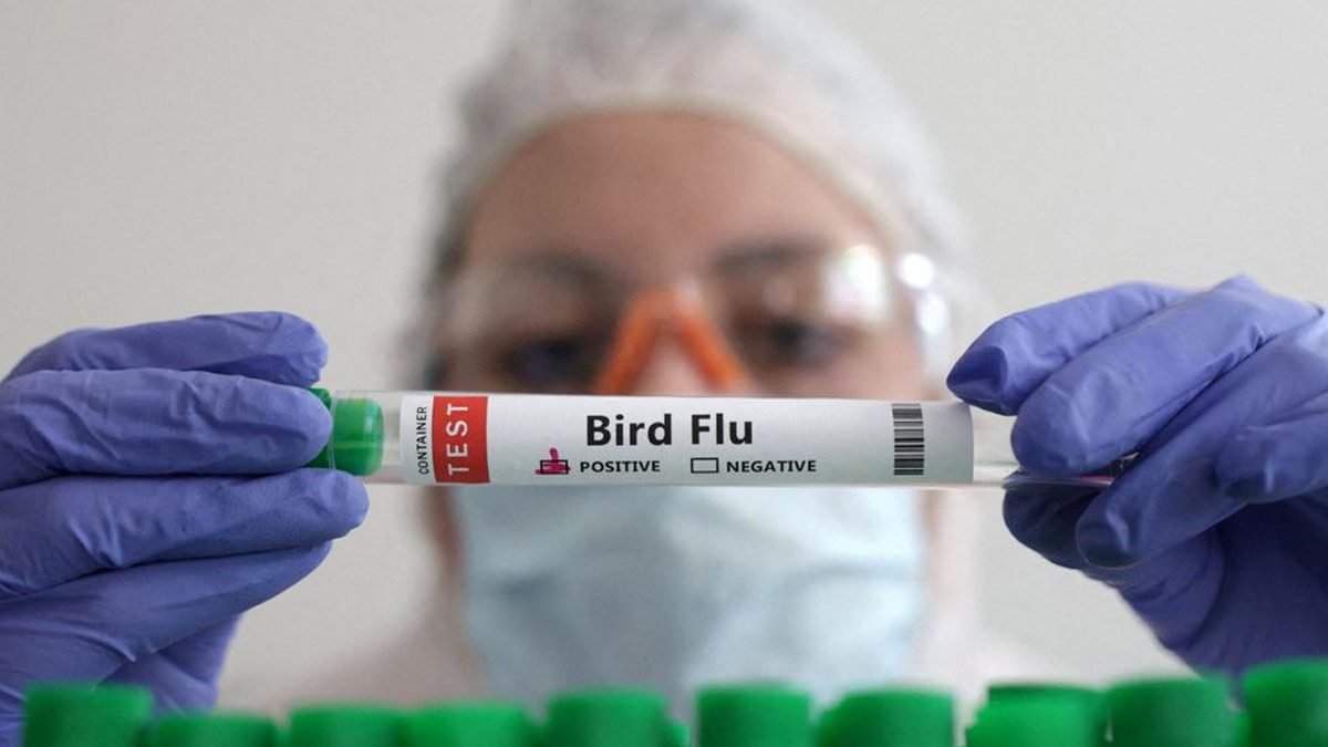 Bird Flu in India: पश्चिम बंगाल में बर्ड फ्लू से संक्रमित हुआ 4 साल का बच्चा, WHO ने किया कंफर्म 