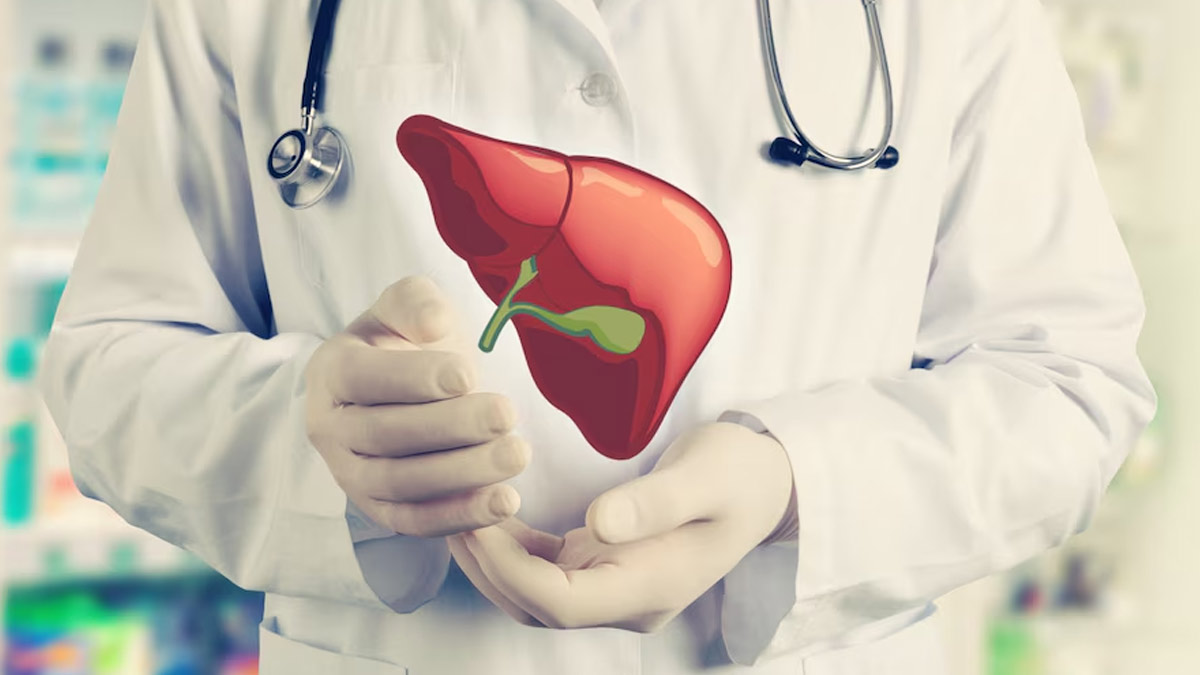 Global Fatty Liver Day 2024 क्यों मनाया जाता है विश्व फैटी लिवर दिवस? जानें इस दिन का महत्व इतिहास और थीम 