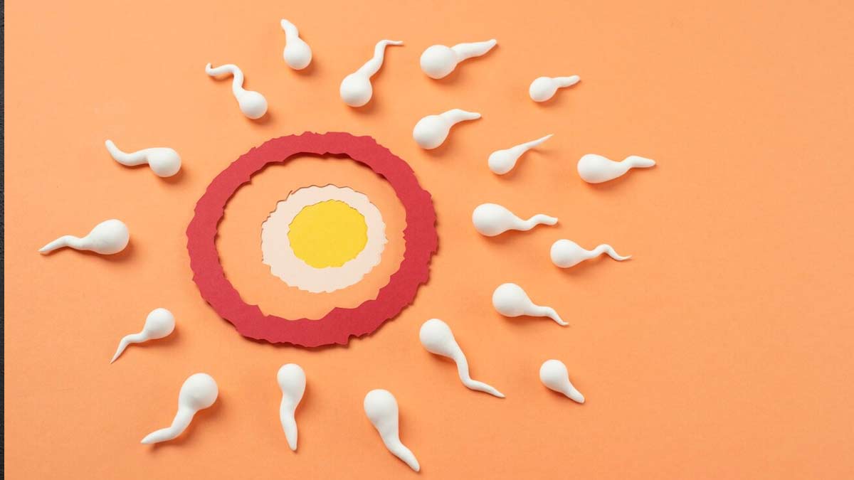 Benefits Of Raisins For Sperm Count In Hindi