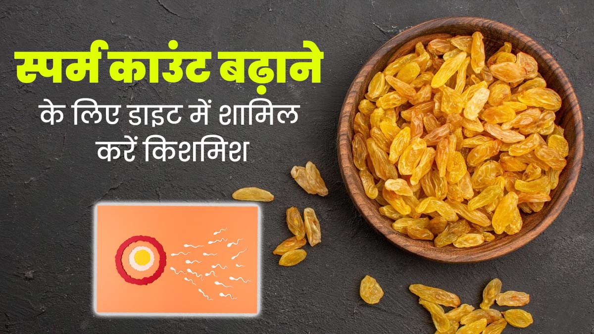 स्पर्म काउंट बढ़ाने के लिए डाइट में शामिल करें किशमिश, सेक्सुअल हेल्थ में होगा सुधार