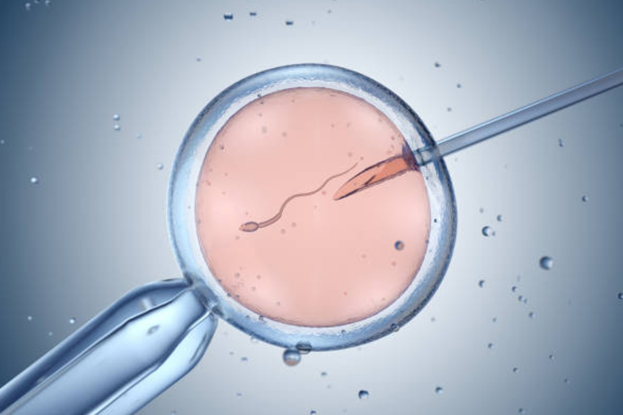 IVF