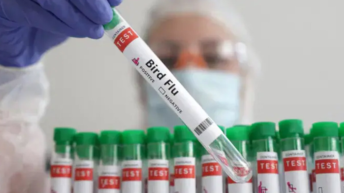 WHO Confirms Human Case Of Bird Flu In India; Know Symptoms And Precautions