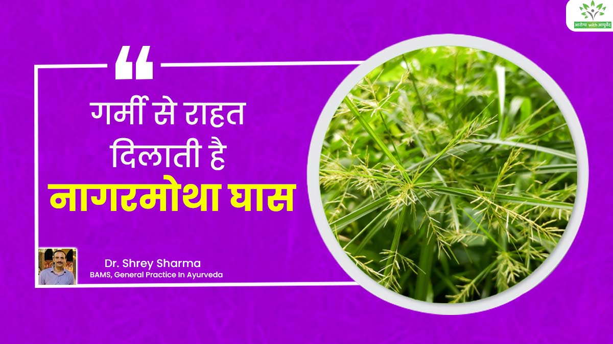 Arogya with Ayurveda: सेहत के लिए बेहद फायदेमंद होती है नागरमोथा घास, गर्मियों में इस तरह से करें इसका सेवन