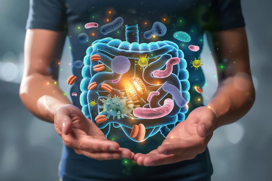 gut-health