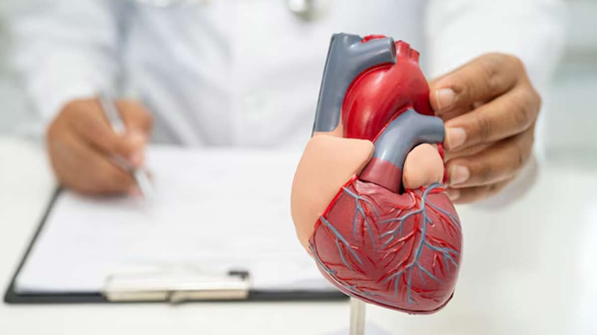 Effects of Plant Based Ultra Processed Foods on Heart