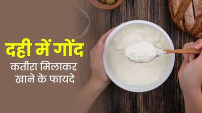 दही में गोंद कतीरा मिलाकर खाने से सेहत को मिलते हैं कई फायदे, इस तरह से करें सेवन