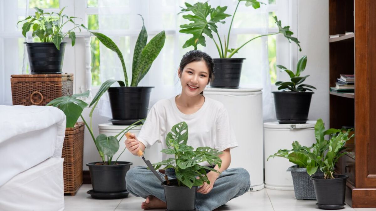 Breathe Easy, Live Happy: Top Indoor Plants For A Mental Health Boost