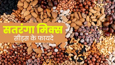सेहत के लिए फायदेमंद है सतरंगा मिक्स सीड्स, जानें बनाने का तरीका 