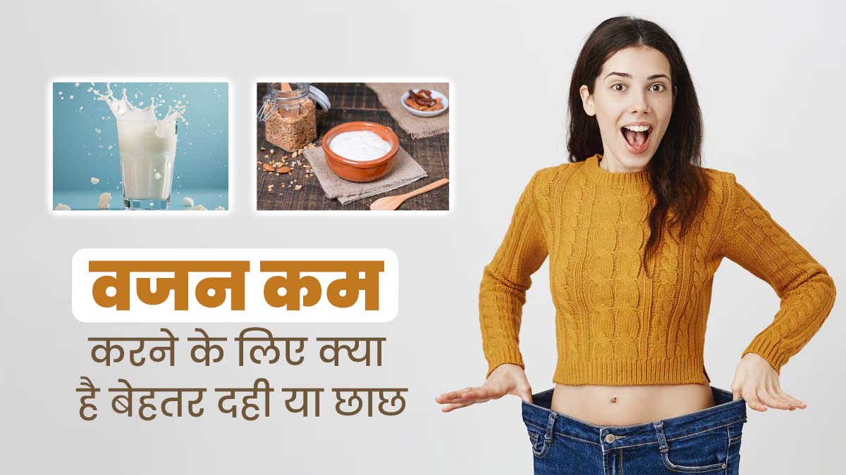छाछ या दही: वजन कम करने के लिए क्या है ज्यादा फायदेमंद? एक्सपर्ट से जानें