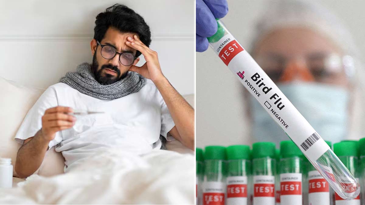 Bird Flu: बर्ड फ्लू होने पर शरीर में क्या होता है? जानें किन समस्याओं का करना पड़ सकता है सामना