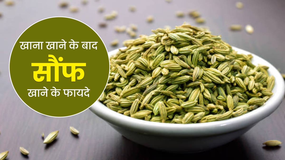 खाना खाने के बाद जरूर खाएं सौंफ, सेहत को मिलेंगे कई गजब के फायदे