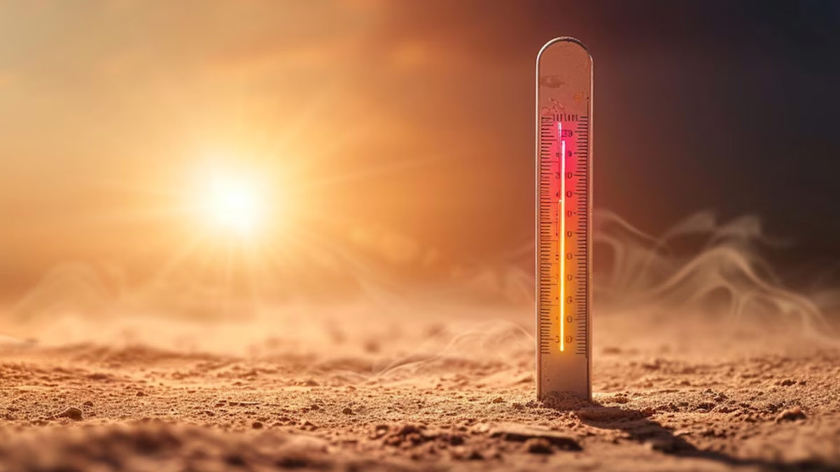 Delhi Heatwave Red Alert To Be Followed By Yellow, Green Alerts, Says IMD: Health Risks To Watch Out For