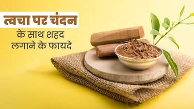 गर्मियों में त्वचा पर चंदन और शहद को एक साथ लगाने से दूर होती हैं कई समस्याएं, जानें इस्तेमाल का सही तरीका