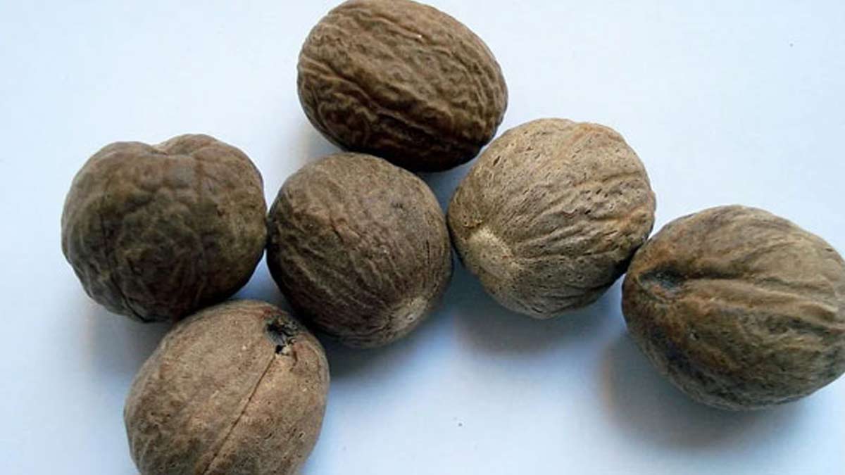 nutmeg