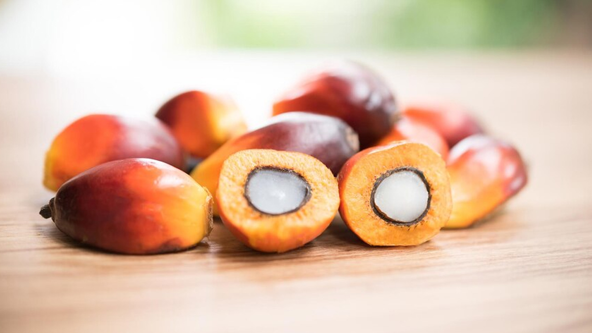 How To Use Batana Oil For Hair Fall And Alopecia