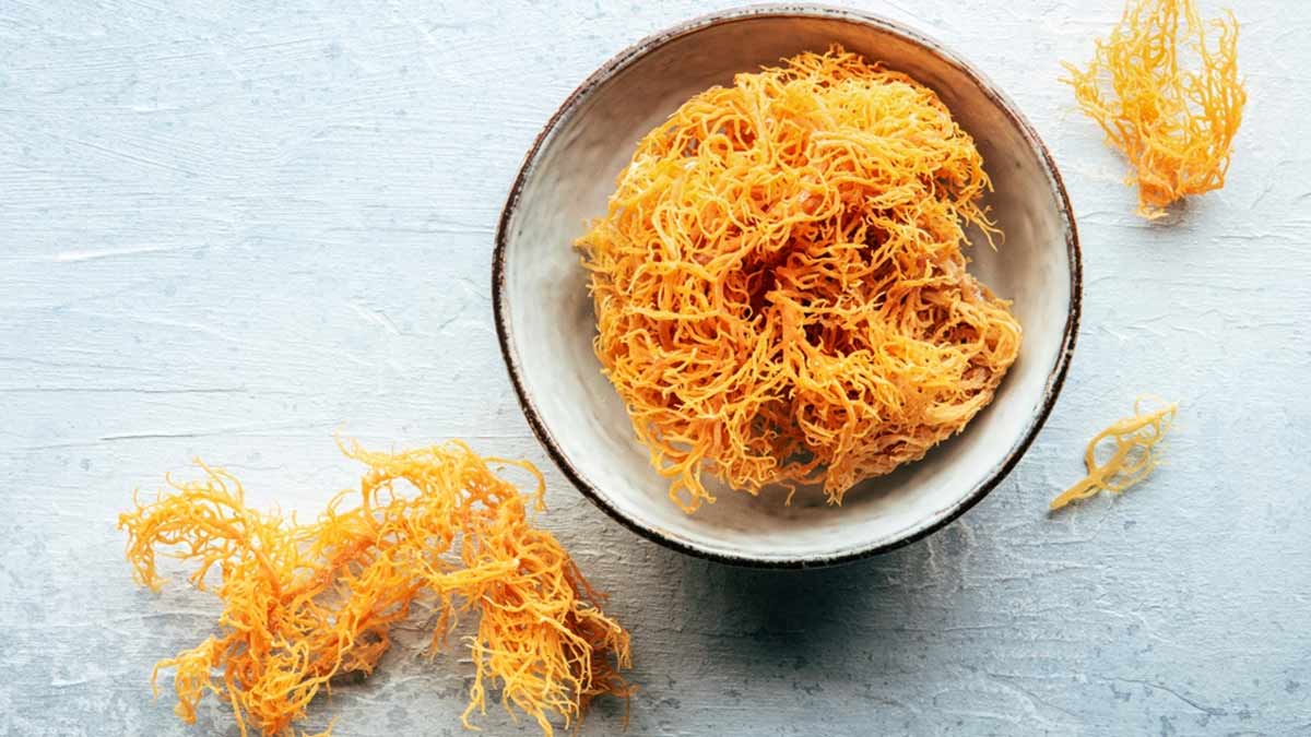 Sea Moss Can Boost Your Memory: Here’s How You Can Consume It
