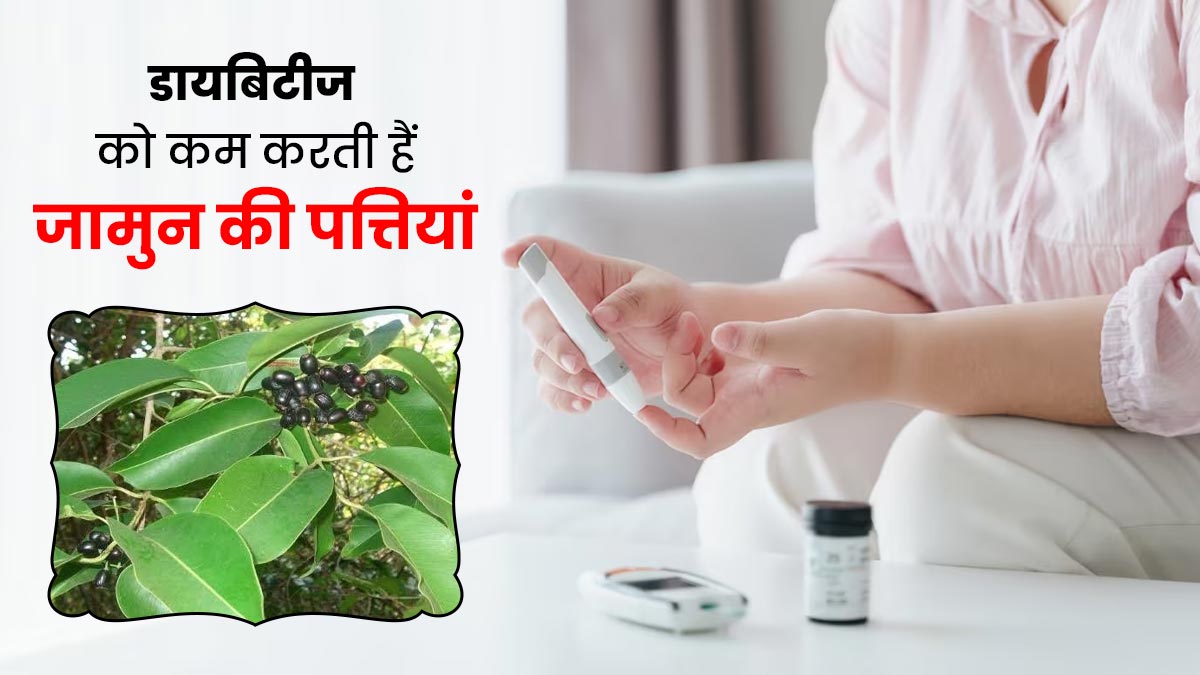 डायबिटीज को कम करने के लिए जामुन की पत्तियों का करें सेवन, तेजी से कम होगा शुगर लेवल  