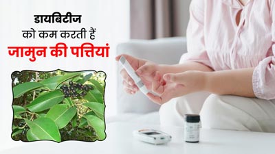 डायबिटीज को कम करने के लिए जामुन की पत्तियों का करें सेवन, तेजी से कम होगा शुगर लेवल  