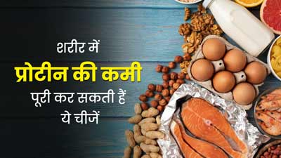 शरीर में प्रोटीन की कमी दूर कर सकती हैं ये 6 चीजें, जानें किसमें कितना है प्रोटीन?