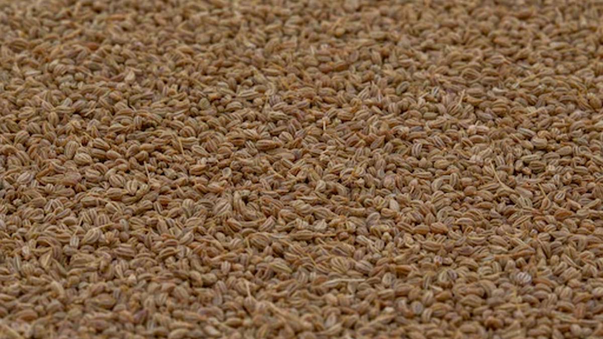 Ajwain