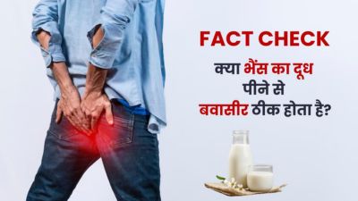 Fact Check: क्या वाकई भैंस का दूध पीने से बवासीर ठीक होता है? डॉक्टर से जानें सच्चाई