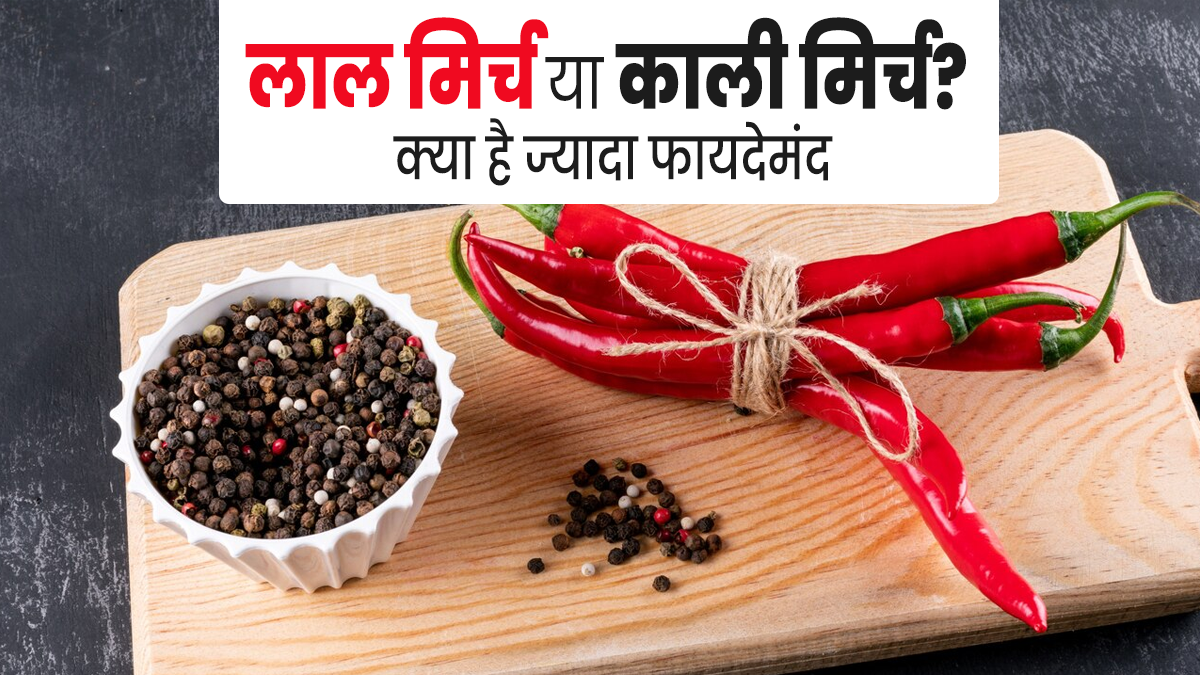 लाल या काली मिर्च: सेहत के लिए कौन-सी मिर्च होती है ज्यादा फायदेमंद? आयुर्वेदाचार्य से जानें