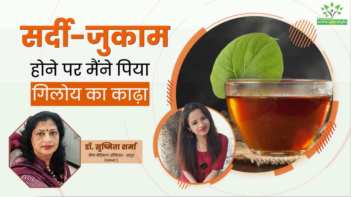 गिलोय का काढ़ा पीने से ठीक हुआ मेरा सर्दी-जुकाम, 7 दिनों तक रोज किया था सेवन, जानें सेवन का सही समय और तरीका 