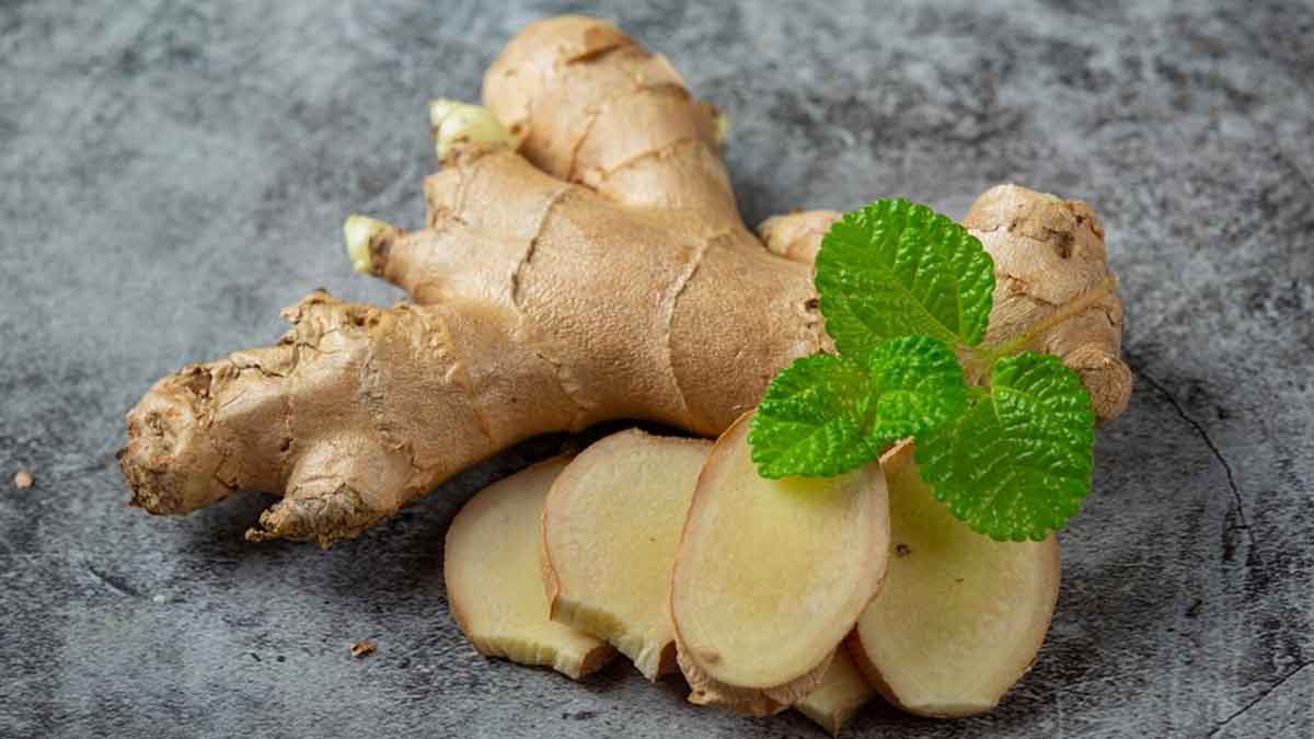 ginger