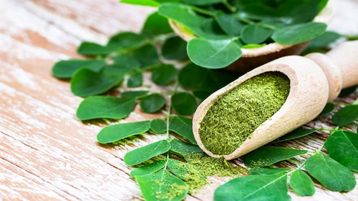 Moringa Benefits For Stomach Problems