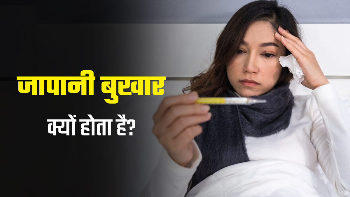 Japanese Fever: जापानी बुखार क्यों होता है? जानें इसके लक्षण और बचाव के उपाय