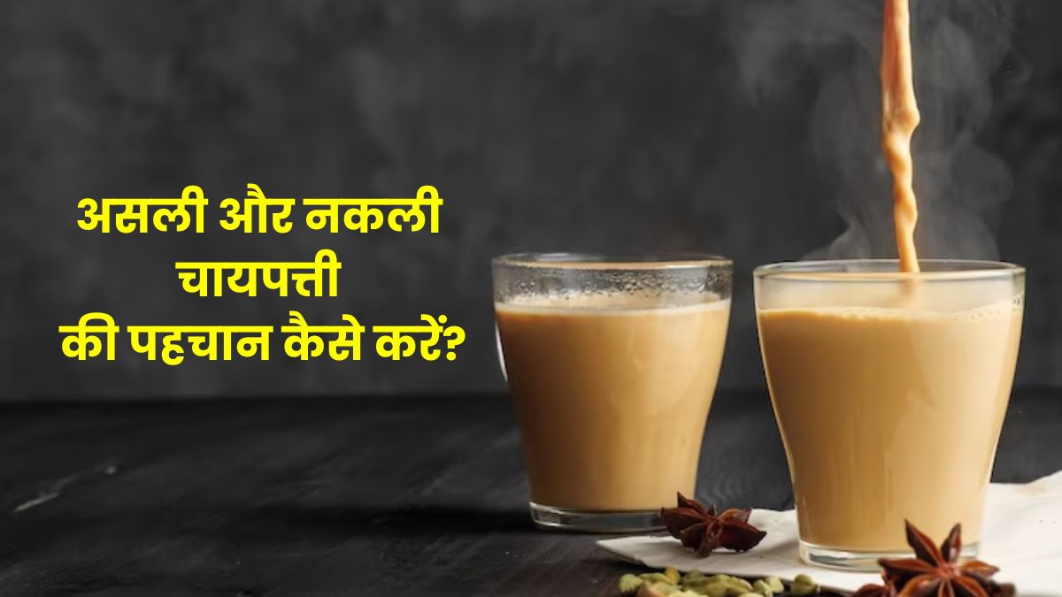 असली और नकली चायपत्ती की पहचान कैसे करें? जानें आसान उपाय