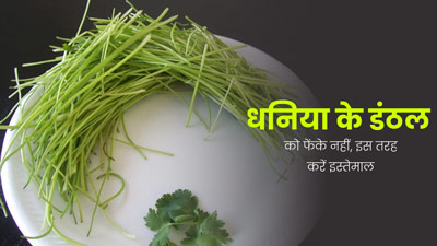 धनिया की डंठल को फेंकने के बजाय इन 5 तरह से करें इस्तेमाल, सेहत को मिलेंगे कई फायदे 