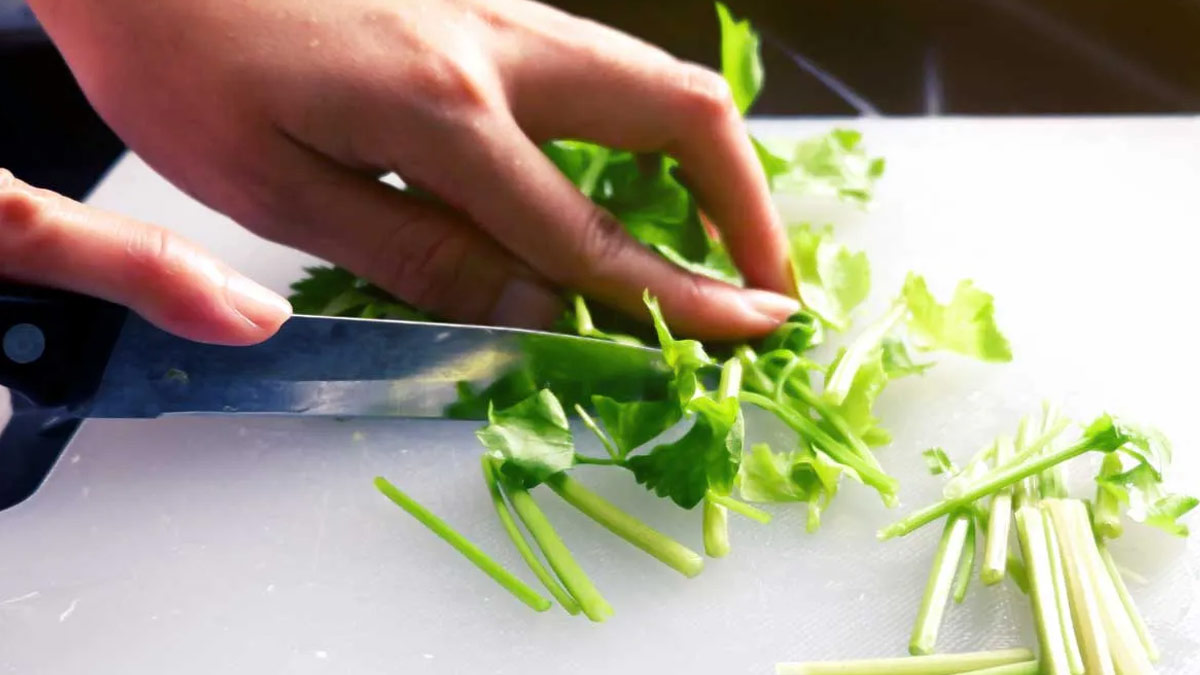 coriander stem health benefits