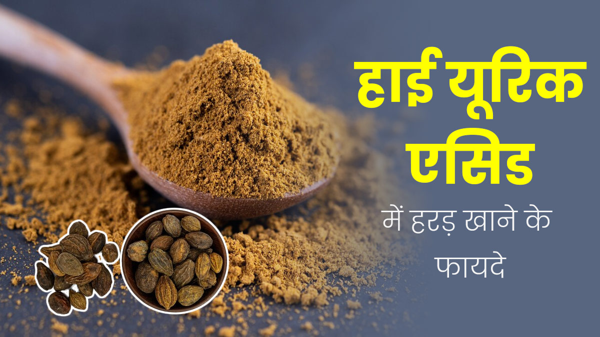 हाई यूरिक एसिड में फायदेमंद है हरड़, जानें सेवन का तरीका और फायदे