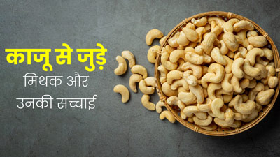 क्या आप भी काजू खाने से जुड़े इन भ्रामक बातों पर करते हैं यकीन? एक्सपर्ट से जानें इनकी सच्चाई