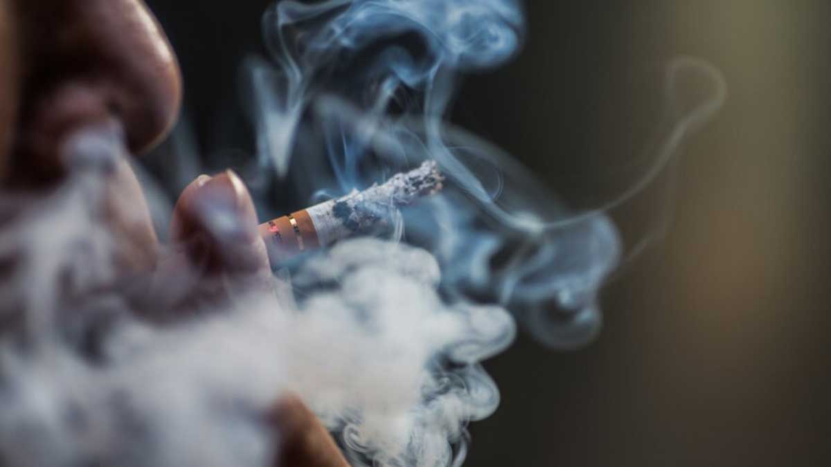 Indian Survey Reports High Spending On Paan, Tobacco In 2022-23: Here’s How It Burdens Public Health