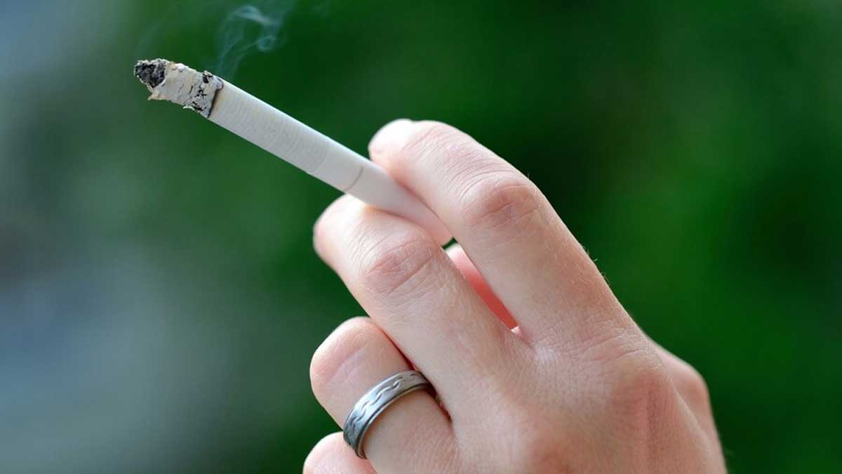 Indian Survey Reports High Spending On Paan, Tobacco In 2022-23: Here’s How It Burdens Public Health