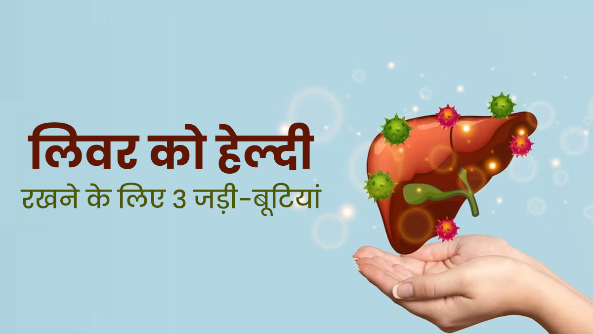 लिवर को हेल्दी रखने के लिए जरूर करें इन 3 जड़ी-बूटियों का सेवन, डिटॉक्स करने में भी मिलेगी मदद
