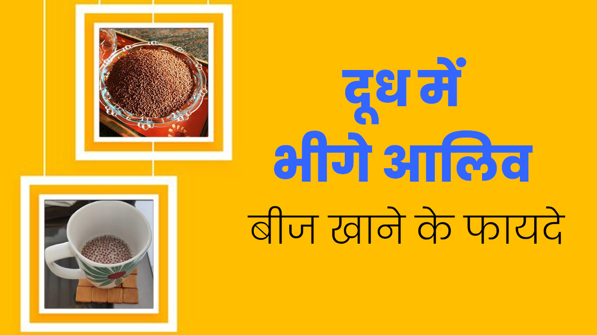 दूध में भीगे हलीम के बीज खाने से शरीर को मिलते हैं कई जबरदस्त फायदे, इस तरह से करें सेवन