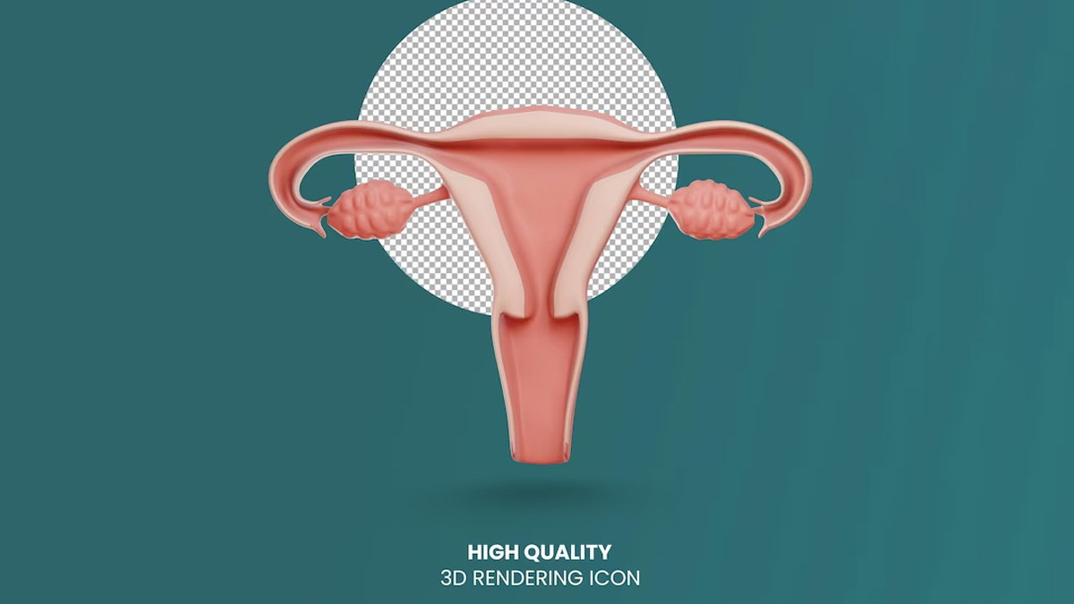 Symptoms Of Uterine Prolapse