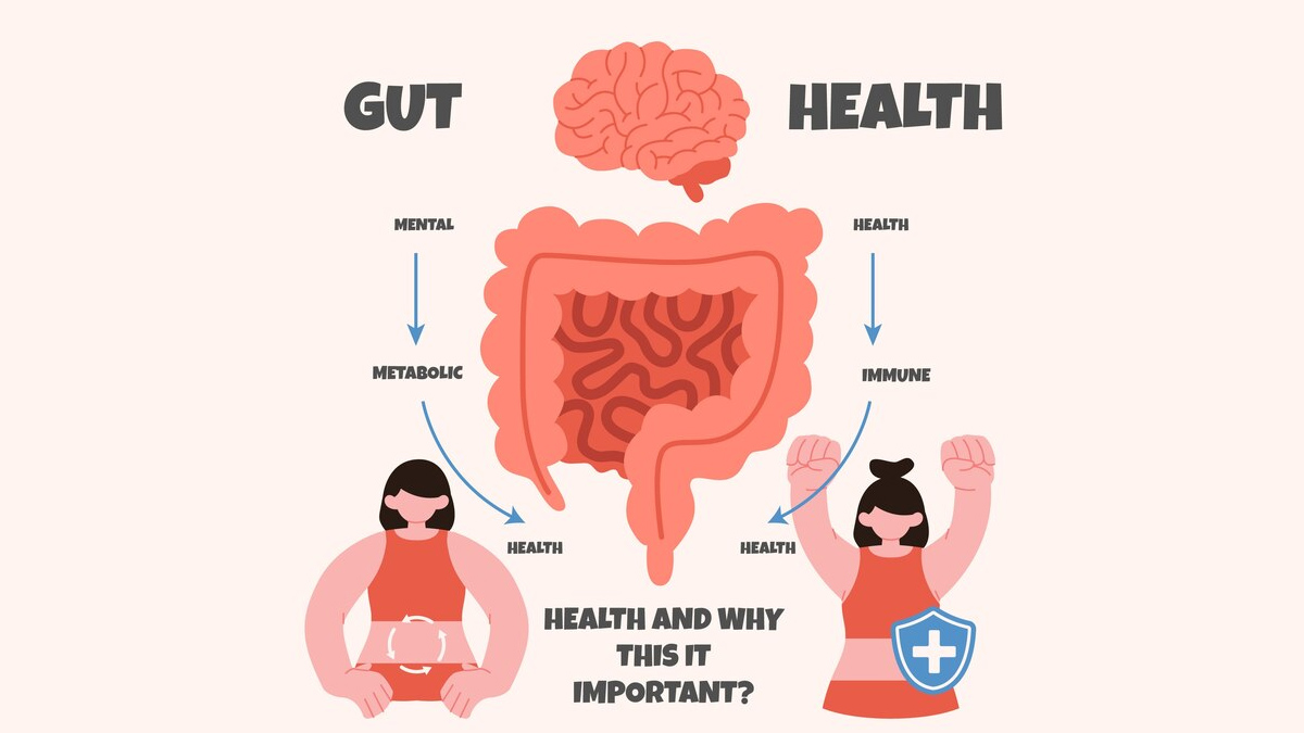 What is Gut health