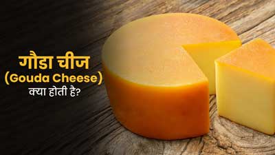 Gouda Cheese: गौडा चीज क्‍या होती है? एक्‍सपर्ट से जानें यह सेहत के लिए फायदेमंद है या नहीं?