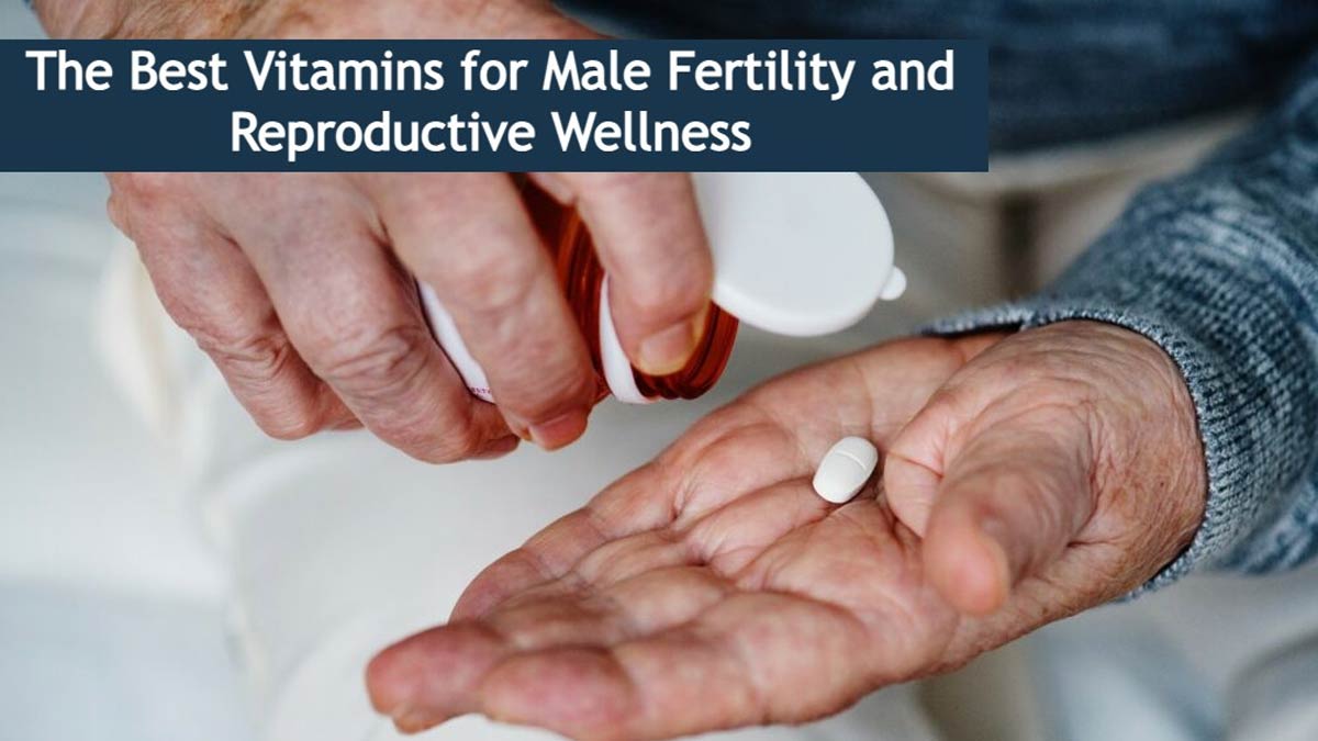 Best Vitamins For Male Fertility and Reproductive Wellness