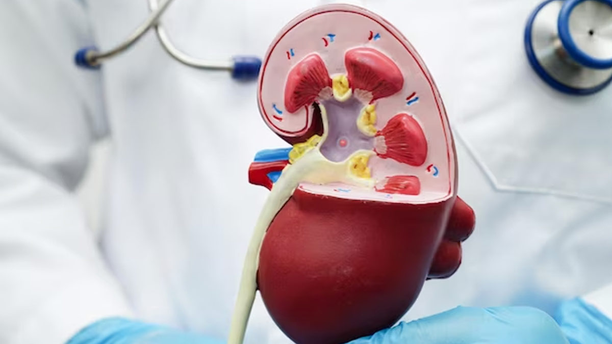 Tips To Improve Creatinine Levels In Hindi