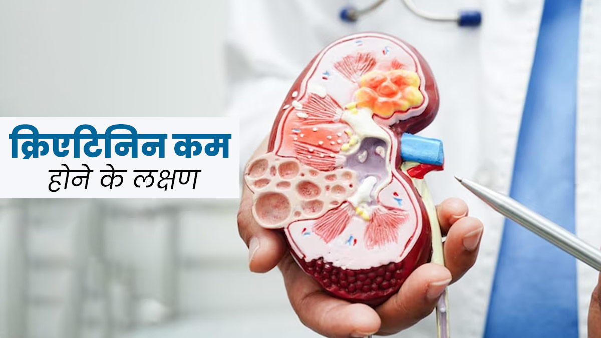 Low Creatinine Symptoms: शरीर में क्रिएटिनिन कम होने पर नजर आते हैं ये 5 लक्षण