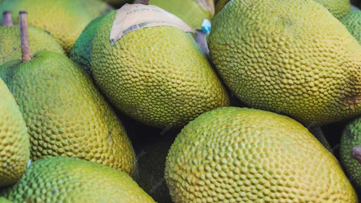 Breadfruit: 5 Health Benefits Of Kamansi