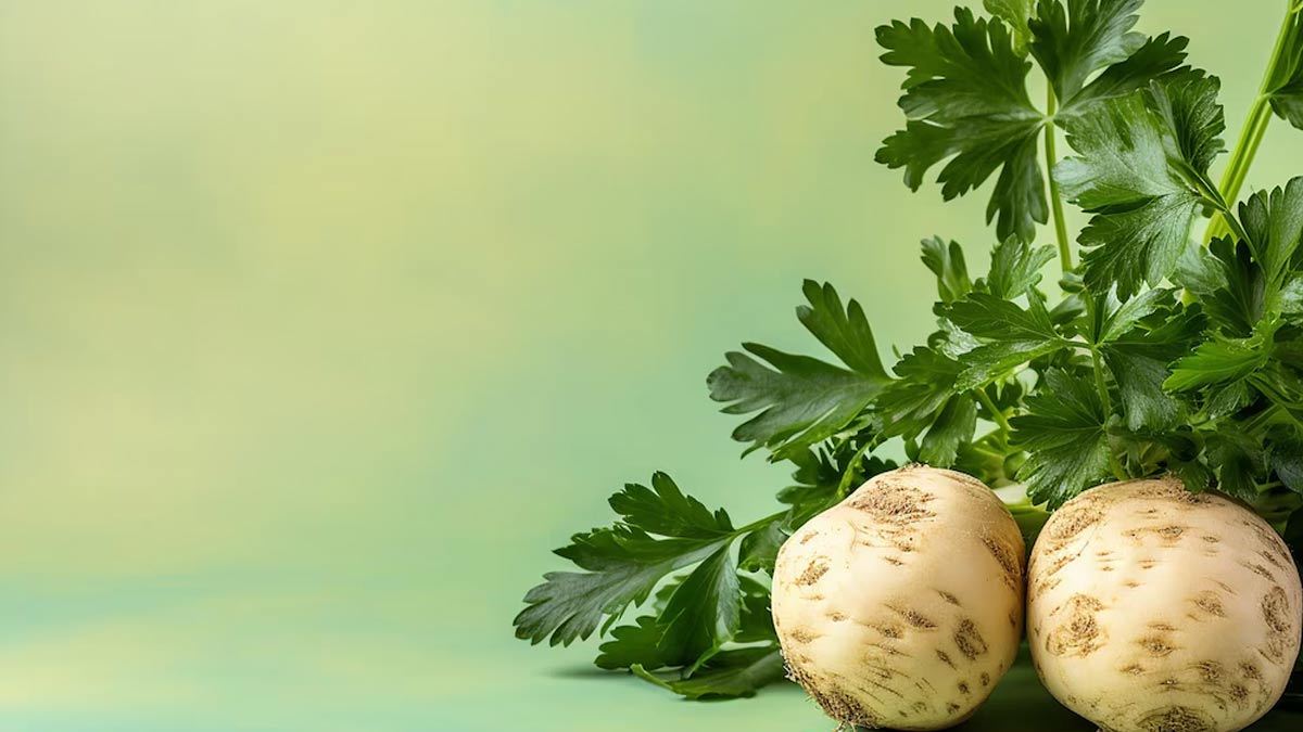 Jicama: Health Benefits Of Consuming This Mexican Vegetable | OnlyMyHealth